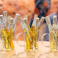 CosmeticBusiness 2026