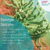 GfN Herstellung von Naturextrakten GmbH: Mikronadeln aus dem Meer, Halle 2 Stand C01 